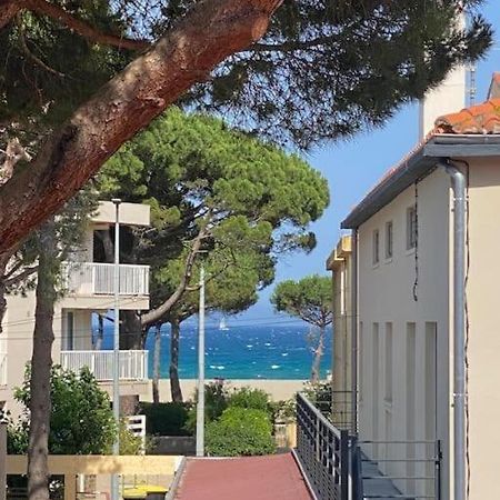 F3 Classe Meuble Tourisme "Gites De France" A 80 Metres De La Plage Argelès-sur-Mer Dış mekan fotoğraf