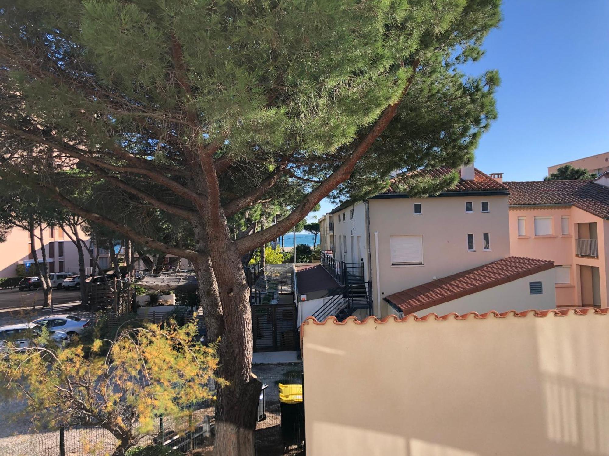 F3 Classe Meuble Tourisme "Gites De France" A 80 Metres De La Plage Argelès-sur-Mer Dış mekan fotoğraf