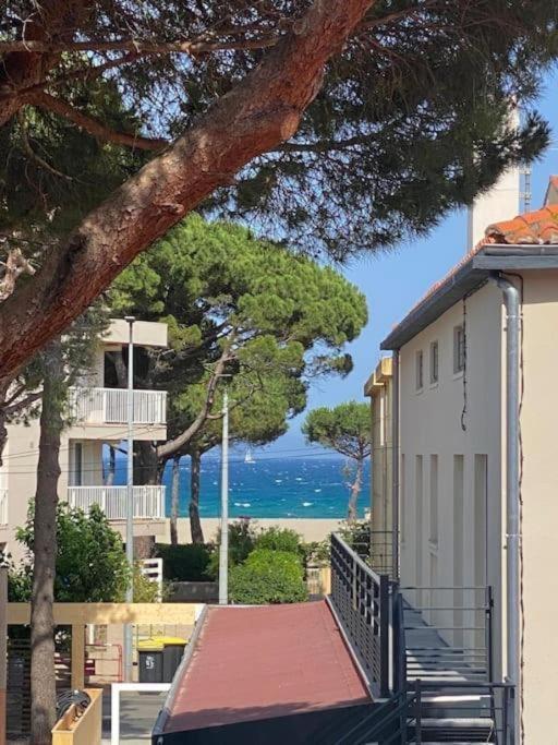 F3 Classe Meuble Tourisme "Gites De France" A 80 Metres De La Plage Argelès-sur-Mer Dış mekan fotoğraf